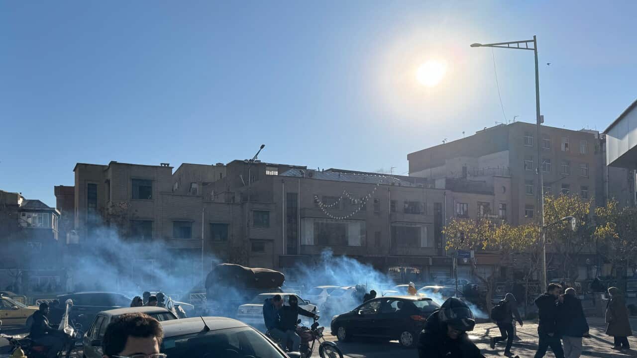Protesters on bikes and others in cars emitting smoke during a protest on a road.