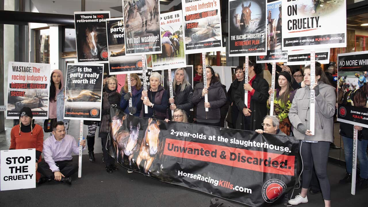 Anti racing protestors rally outside the Jam Factory in South Yarra before the premiere of the movie Ride Like a Girl.