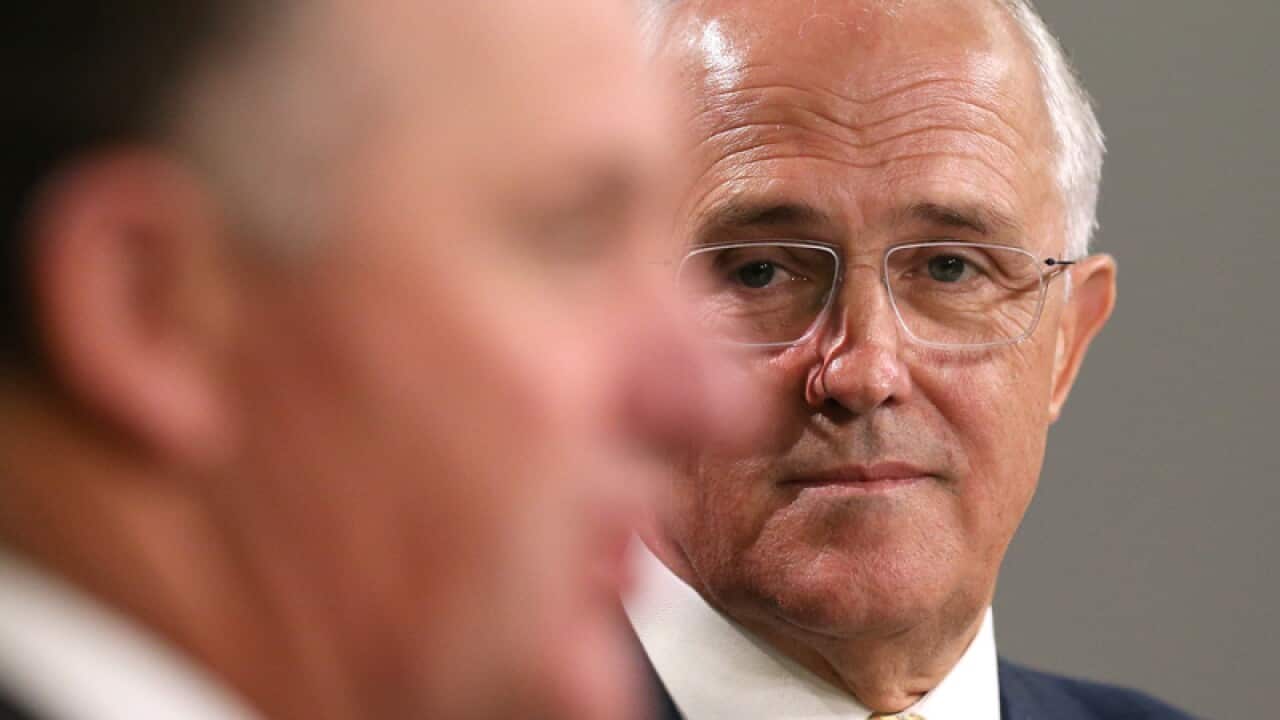 Australian PM Malcolm Turnbull (right) looks at NZ PM John Key