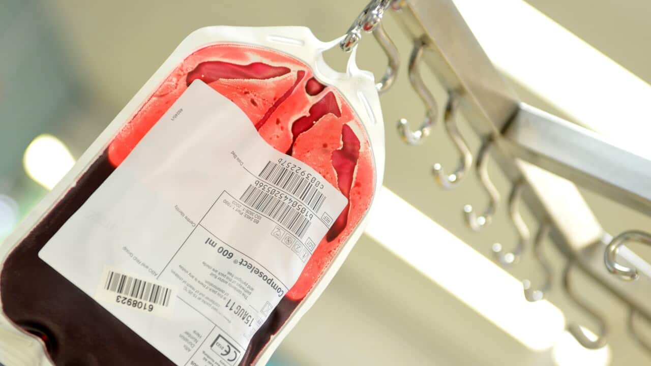 Image for read more article ''