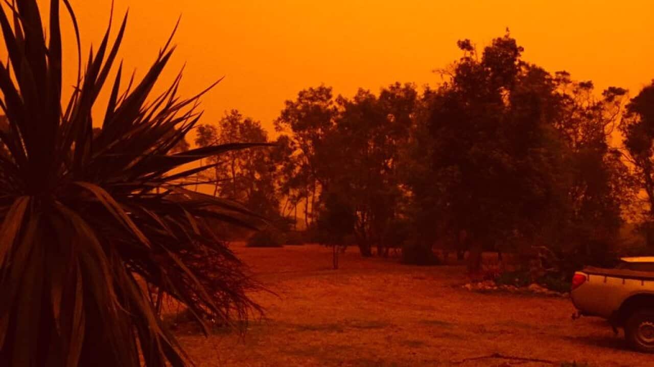 Image for read more article ''