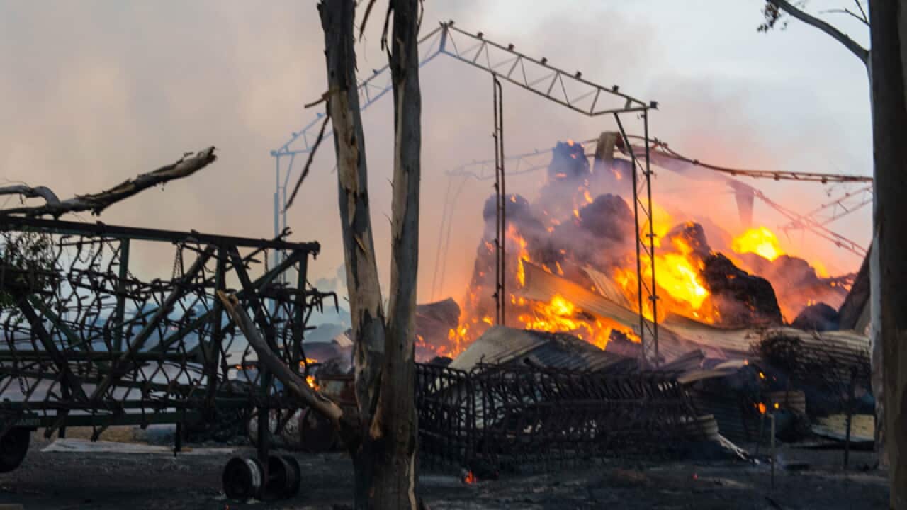 A shed burns at the entrance to Freeling.
