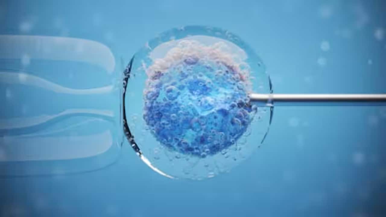 ivf.png