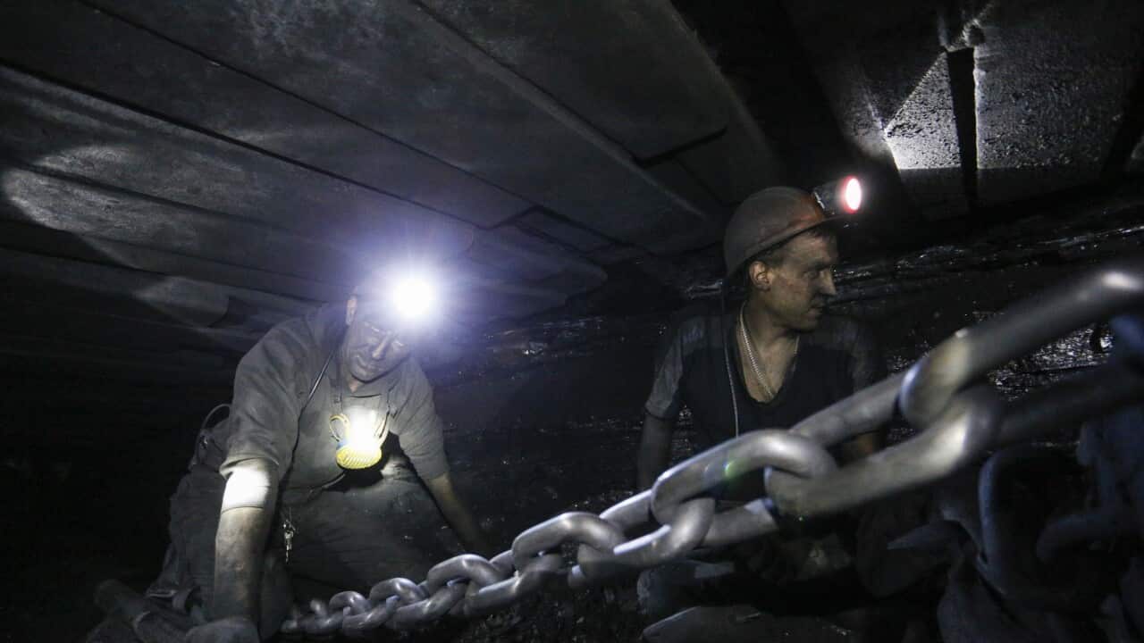 Coal miners