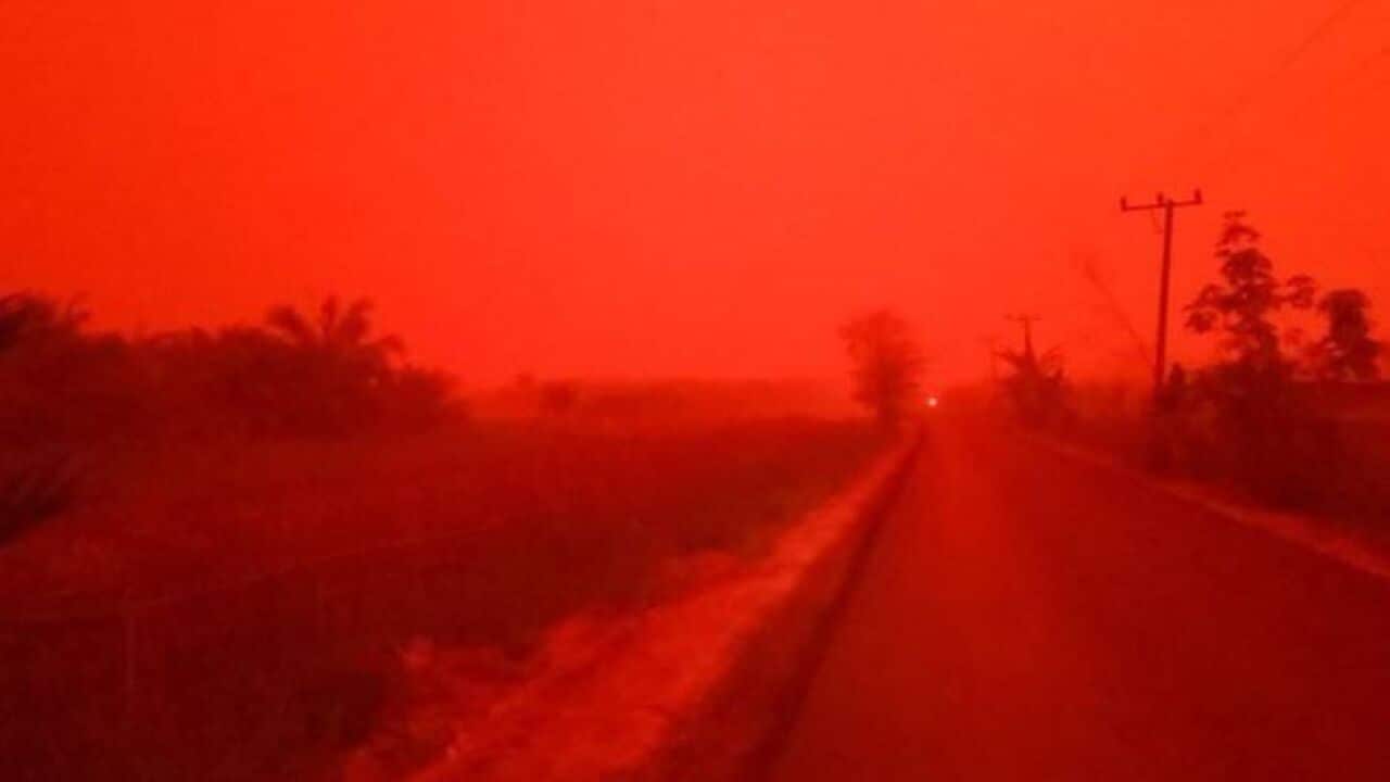 The blood red sky over Jambi province. 