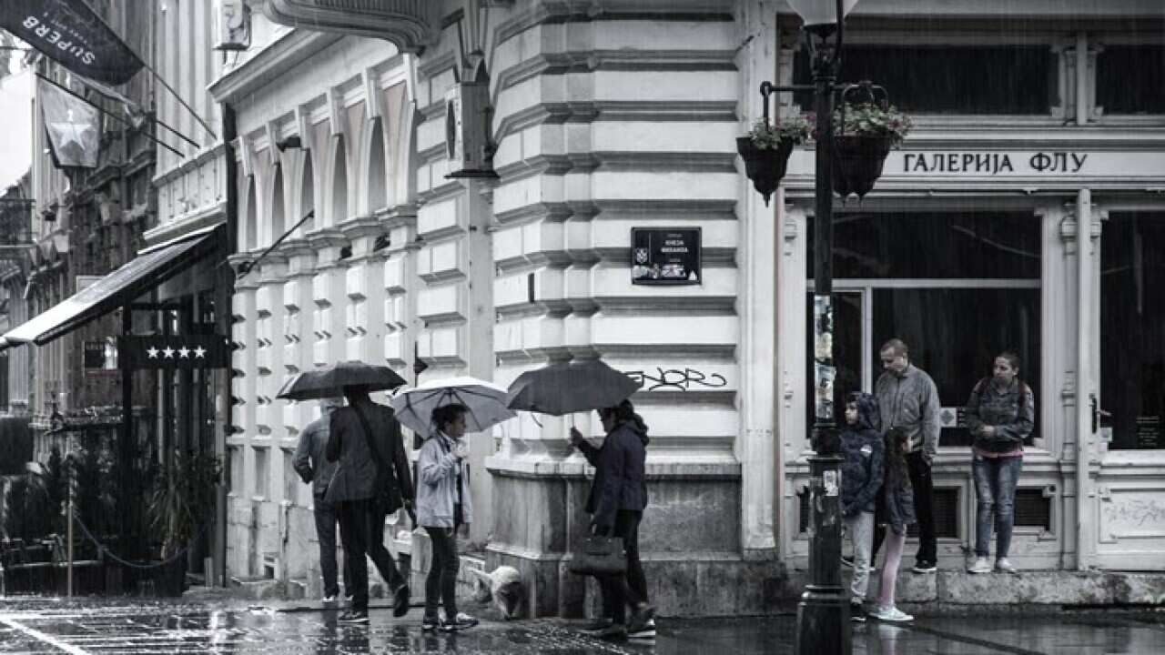 Photo by Sherise VD on Unsplash