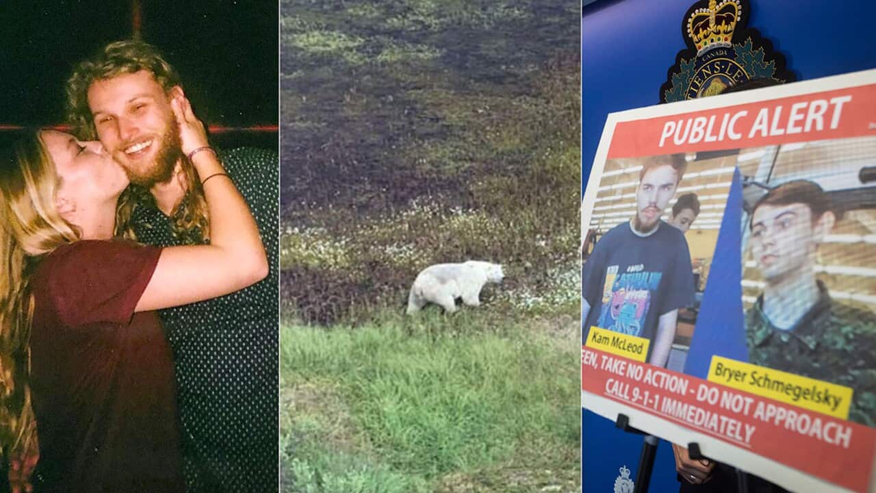 A polar bear has been spotted in the man hunt for the suspects.