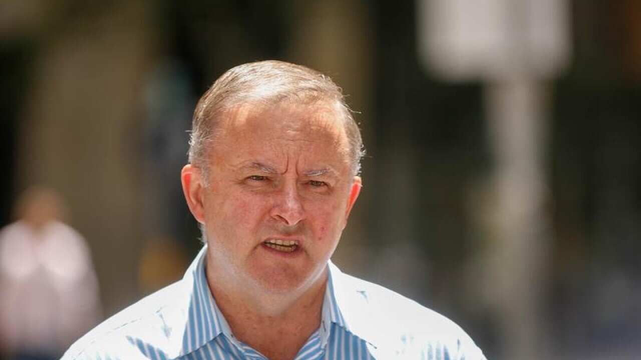 Anthony Albanese MP addresses the media in Sydney.