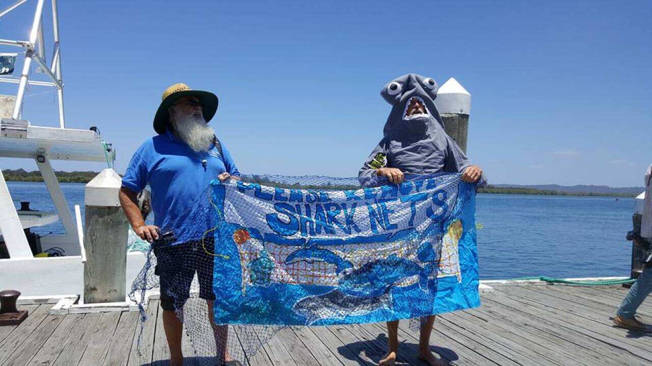 Shark nets