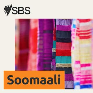 SBS LOGO