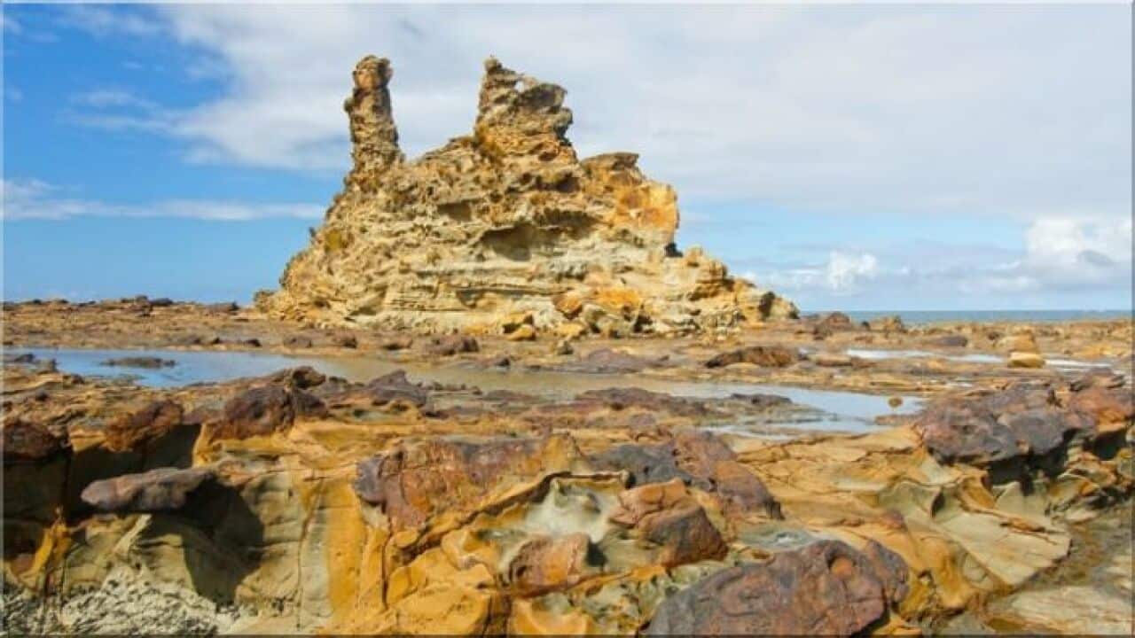 Inverloch (Eagles Nest) Fossil Site.