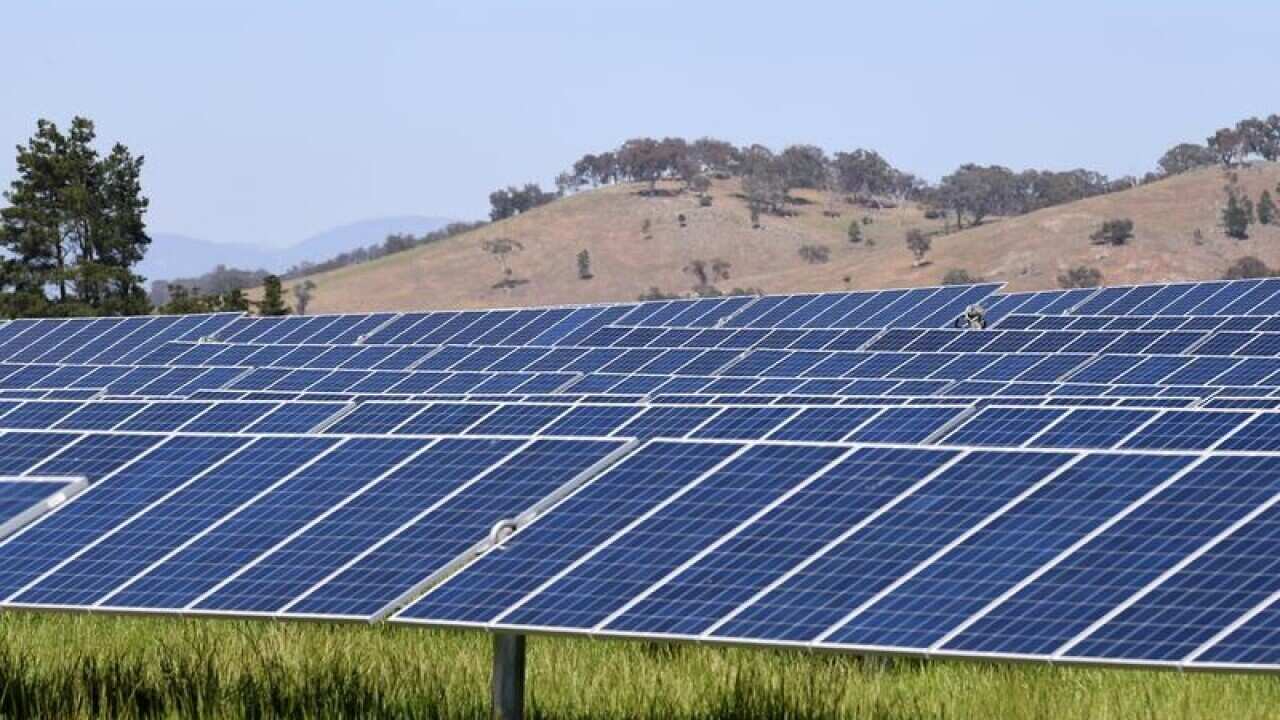 A general view of Mount Majura Solar farm in Canberra