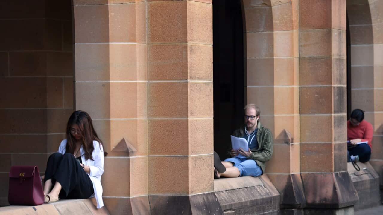 Students read at the Quadrangle of the University of Sydney