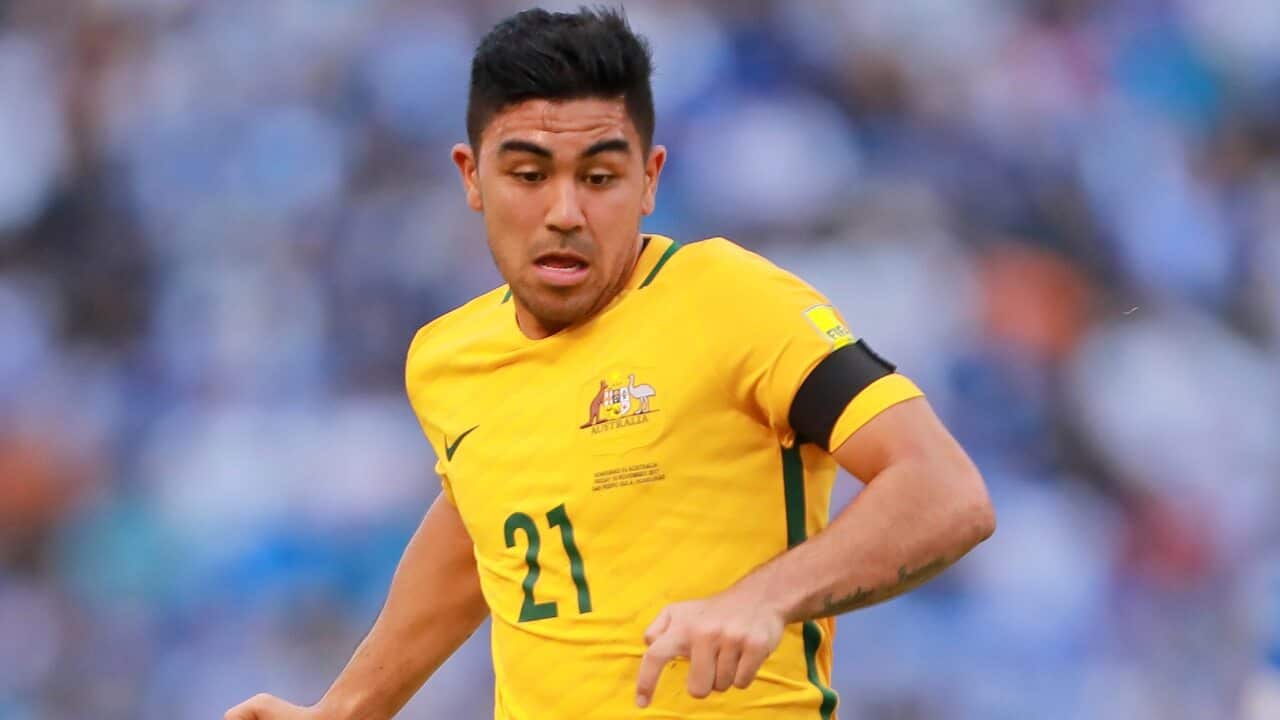 Massimo Luongo Ange Postecoglou Socceroos Bert van Marwijk