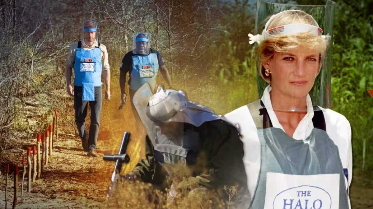 Minefields and Princess Diana.jpg