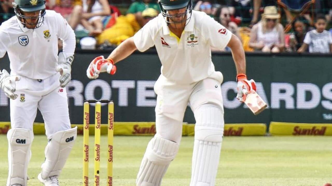 cricket