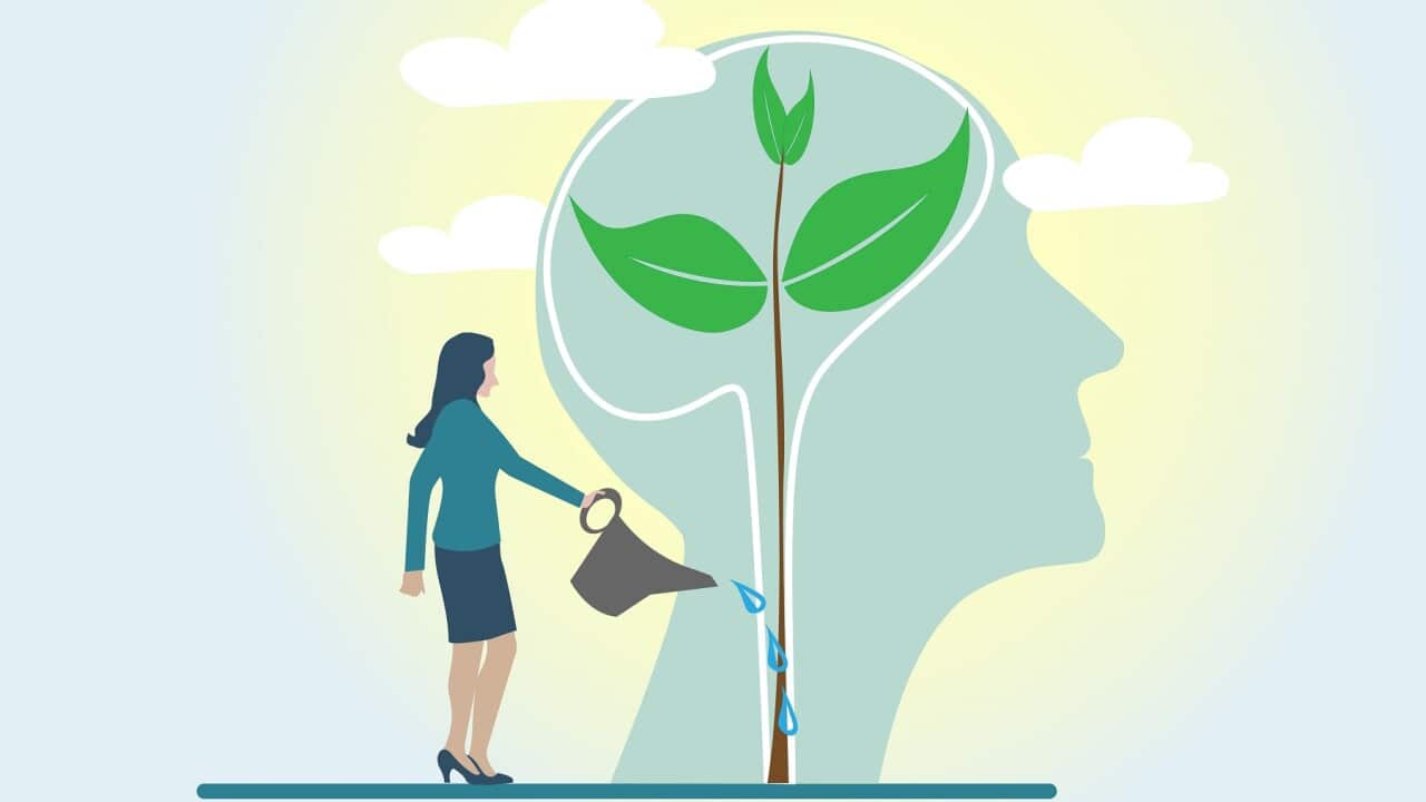 Mindset Concept.Watering plants with big brain growth mindset concept.