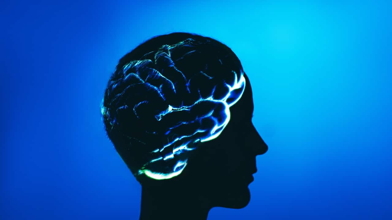 A side profile silhouette of a human head with a glowing brain projected onto it.