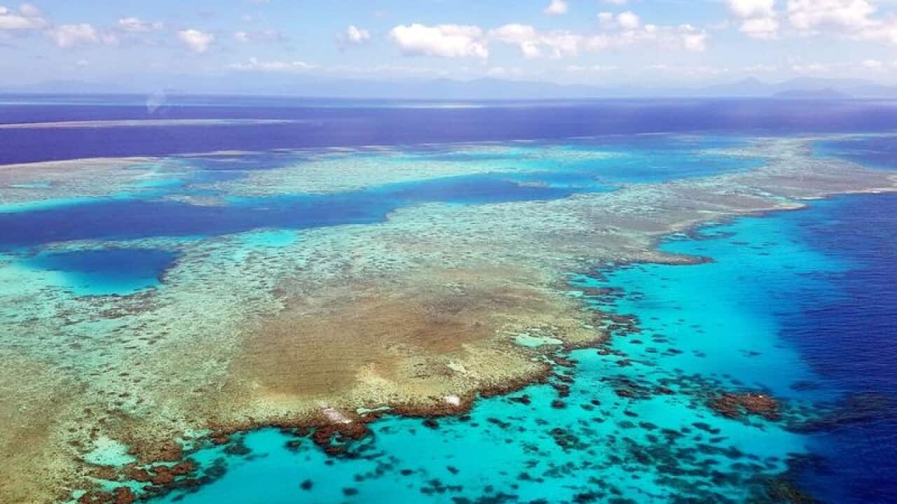 An arial photograph of the Great Barrier Reef.