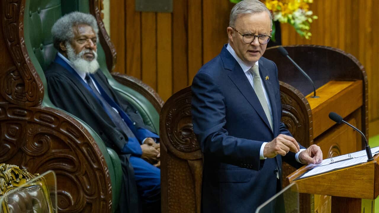Anthony Albanese speaking in front of a microphone while standing at a lectern.