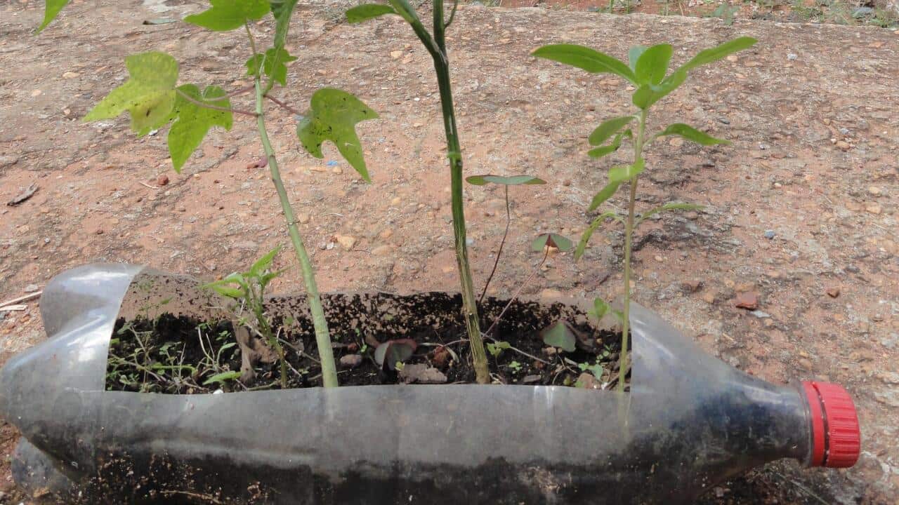 recyling for garden