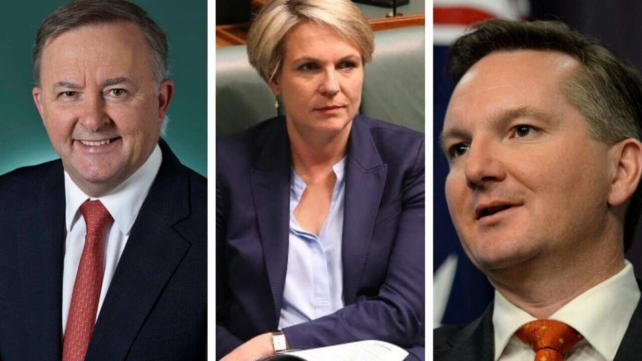 Three senior Labor figures to meet on leadership after election disappointment.