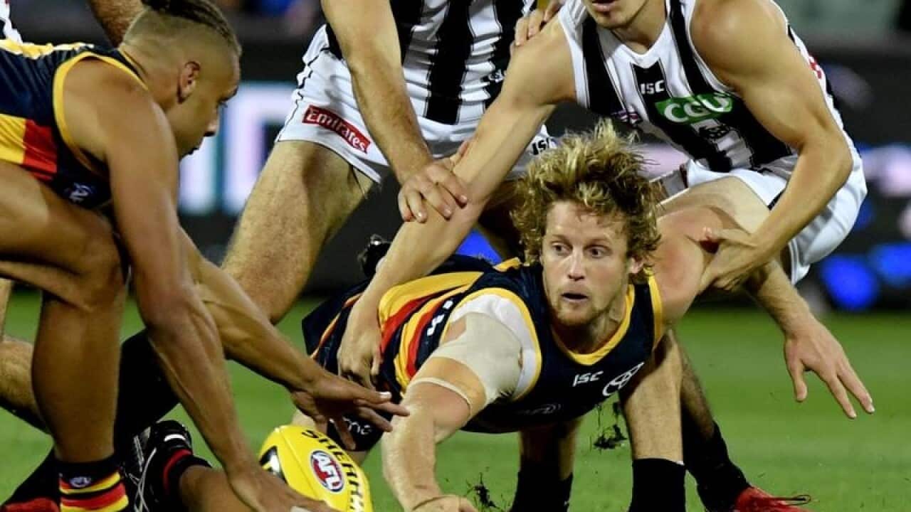 Rory Sloane in action.