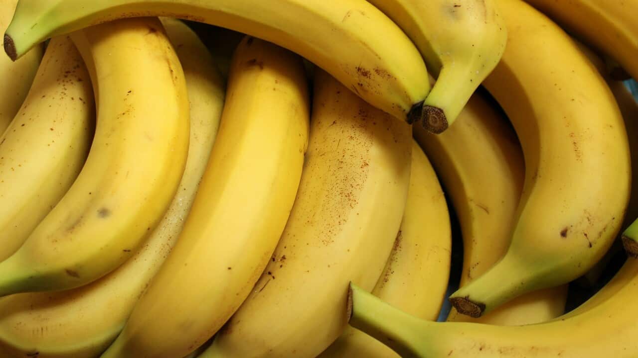 Bananas