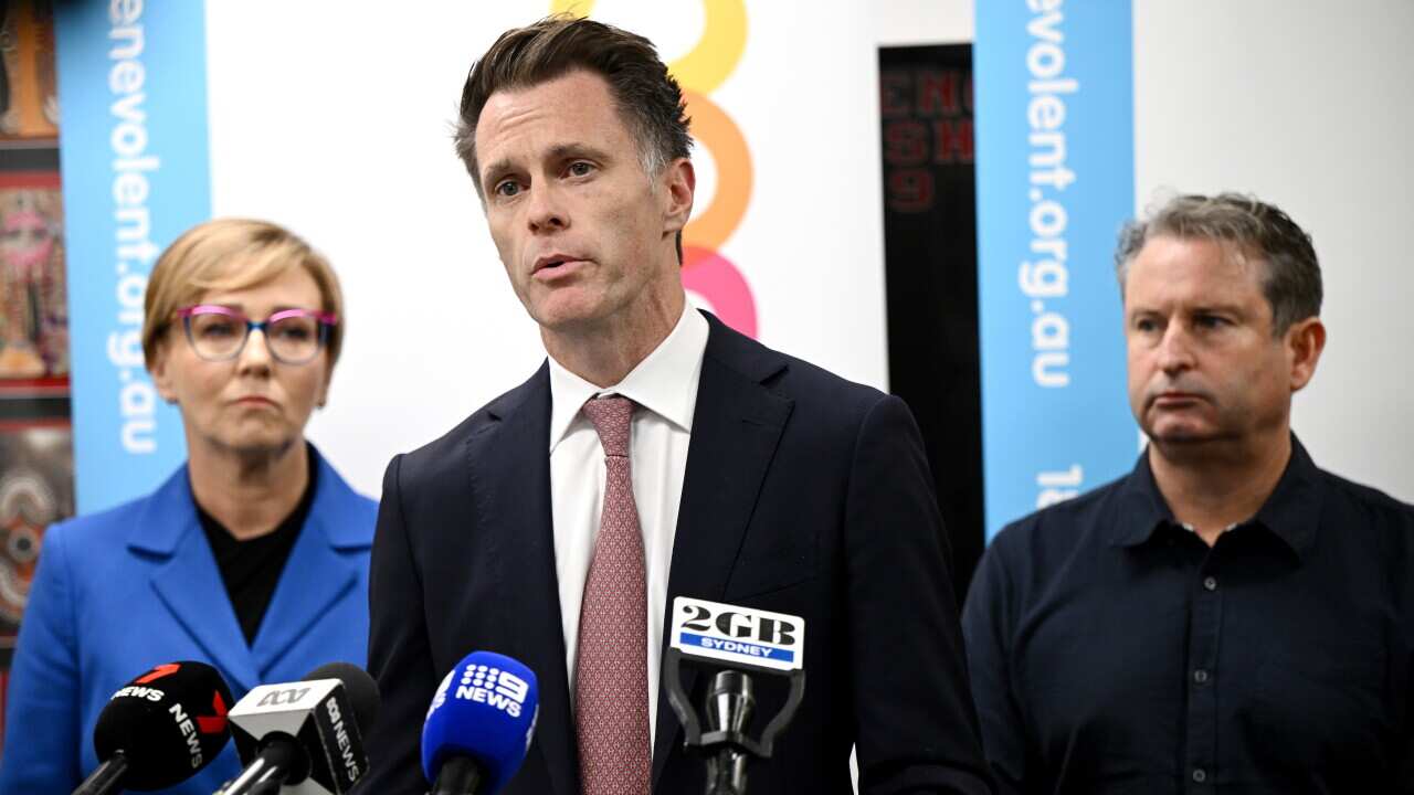 CHRIS MINNS DOMESTIC VIOLENCE PRESSER