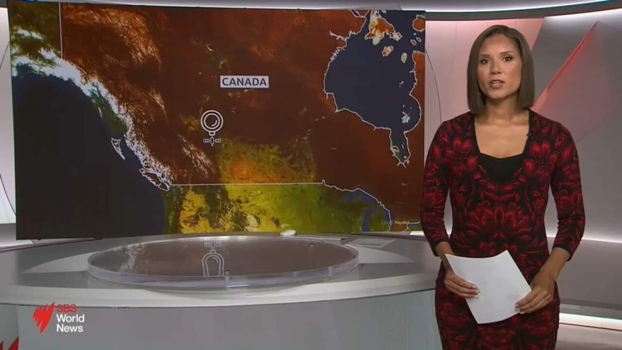 Janice Petersen presenting SBS World News in front of the studio desk