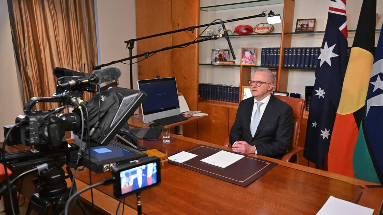 ANTHONY ALBANESE NATIONAL BROADCAST