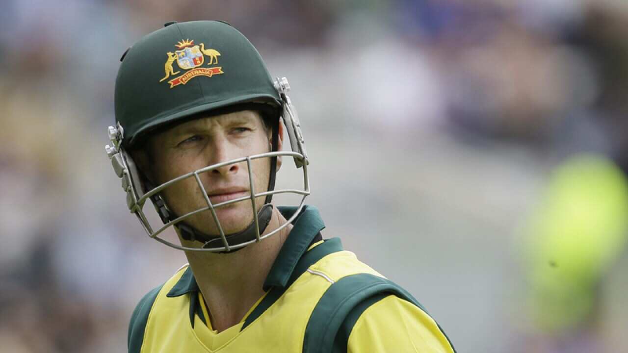 Australian cricketer Adam Voges