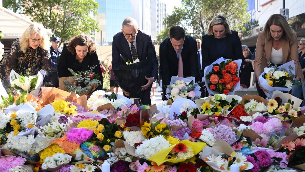 BONDI STABBING MASS MURDER