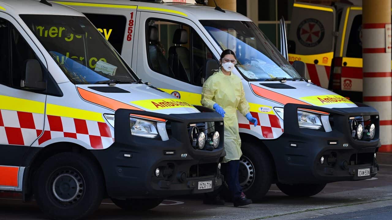 NSW Ambulances park in the receiving bay for the Emergency Department at the Liverpool Hospital in Sydney. Wednesday, September 8, 2021. Medical experts are concerned that hospital emergency departments in NSW will face almost five times the number of COV