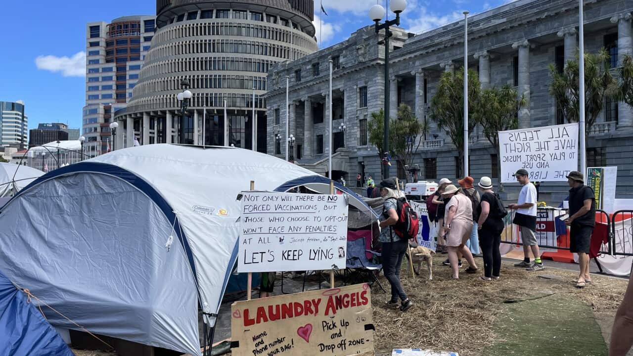 Anti-vaccine protesters continue their occupation of Parliament House and surrounding streets in Wellington, New Zealand.