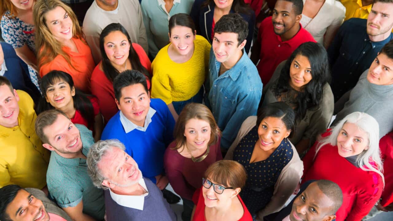 diversity