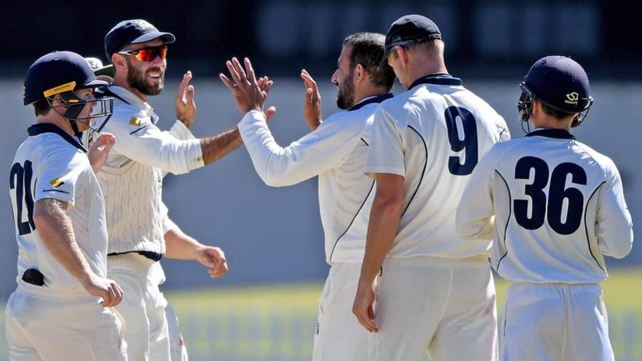 Victoria teammates congratulate Glenn Maxwell