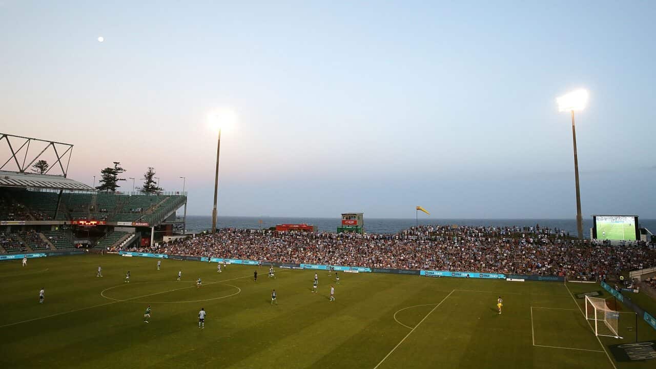 A-League Rd 15 - Sydney v Newcastle