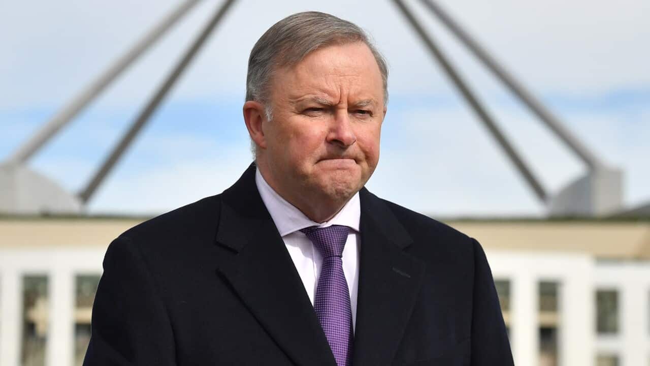Anthony Albanese