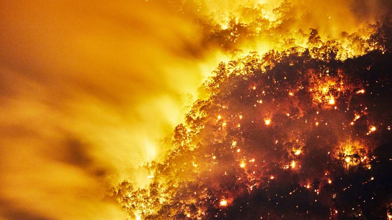 Aerial view of Fire, Forest Fire