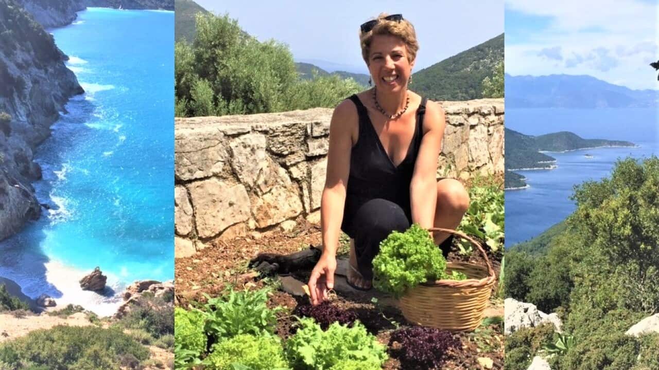 Image for read more article ''