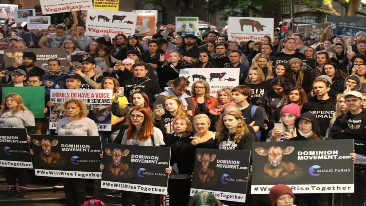 Animal rights protesters gather at the State Library in Melbourne.