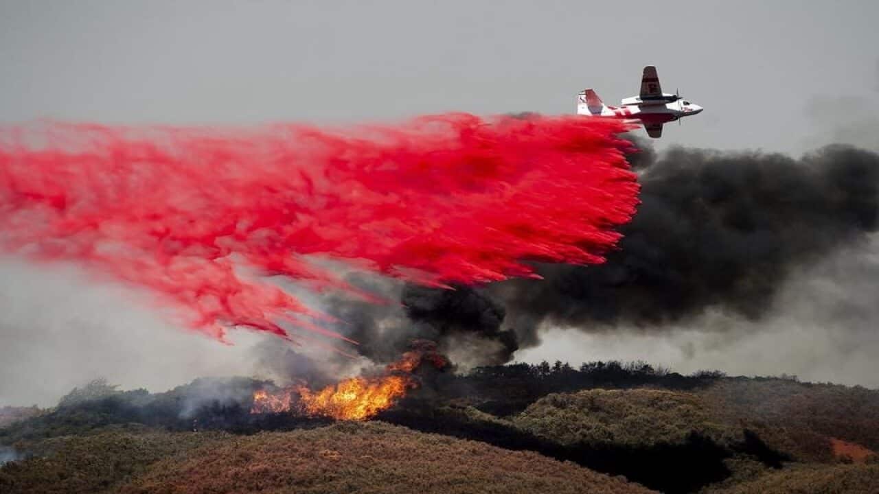 Bushfires