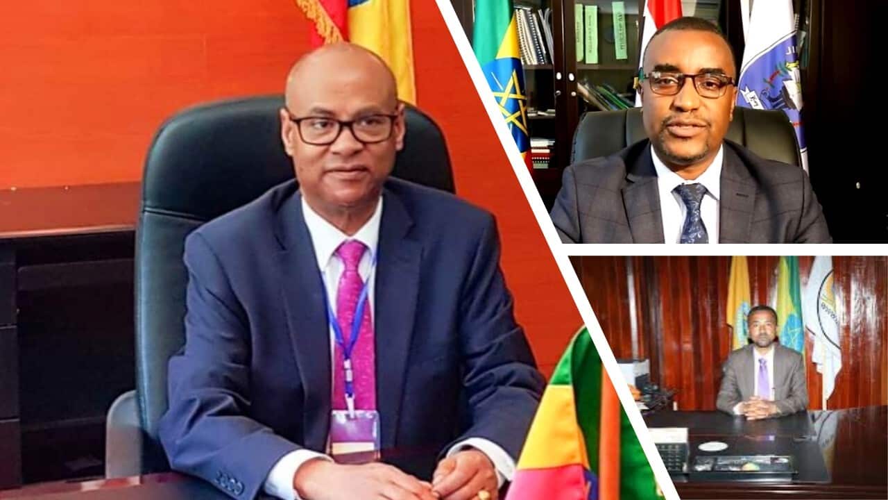 Ethiopian Universities