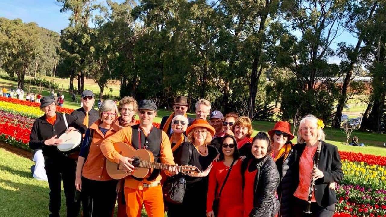 zing perfroming for dutchies