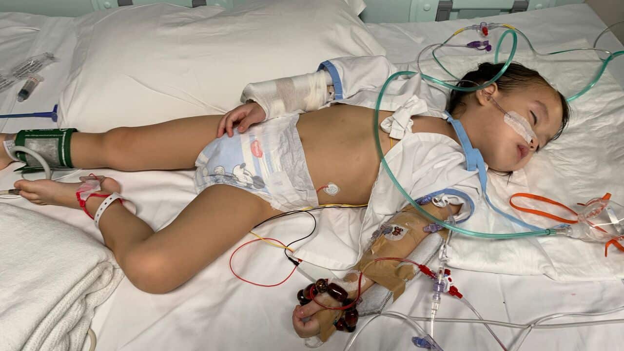 WhatsApp Image 2023-12-18 at 18.33.24 (1).jpeg