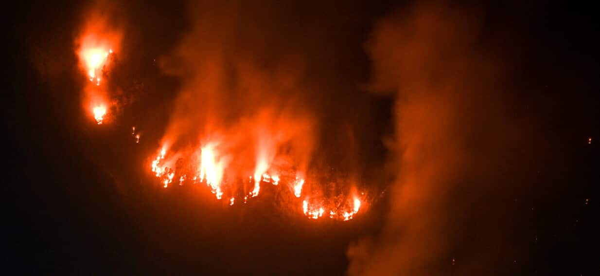 Thousands of hectares burnt as El Niño intensifies Indonesia's dry season