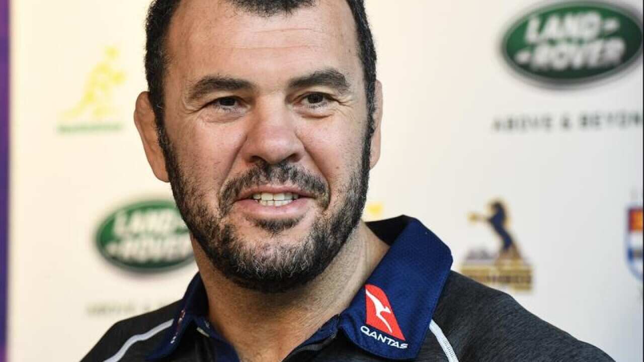 Wallabies coach Michael Cheika looks on.