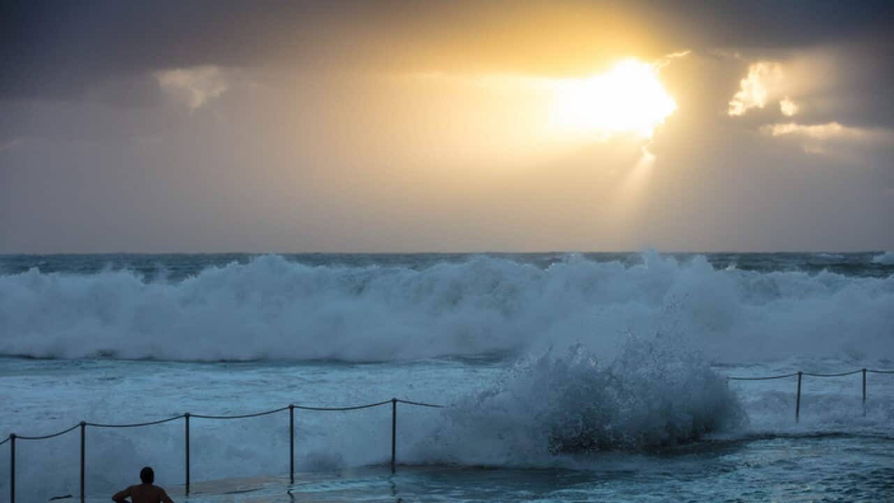 The surf of Australia's east coast