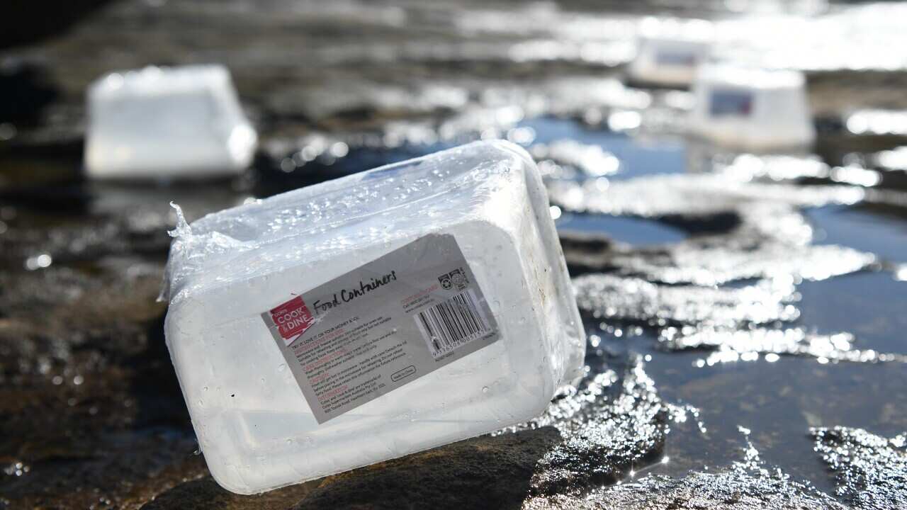 Plastic containers wash up on the shoreline of Port Botany